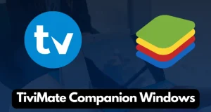 TiviMate Companion Windows